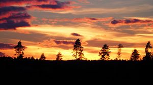 Preview wallpaper sunset, trees, silhouettes, dark, evening, nature