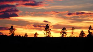 Preview wallpaper sunset, trees, silhouettes, dark, evening, nature