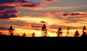Preview wallpaper sunset, trees, silhouettes, dark, evening, nature