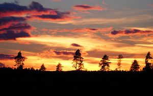 Preview wallpaper sunset, trees, silhouettes, dark, evening, nature