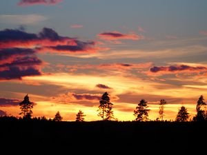 Preview wallpaper sunset, trees, silhouettes, dark, evening, nature