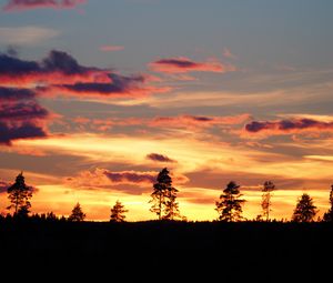 Preview wallpaper sunset, trees, silhouettes, dark, evening, nature