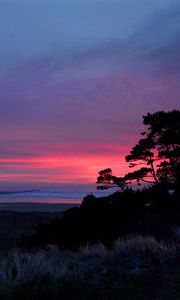 Preview wallpaper sunset, trees, silhouettes, dusk, nature