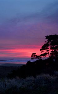 Preview wallpaper sunset, trees, silhouettes, dusk, nature