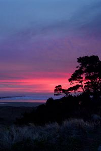 Preview wallpaper sunset, trees, silhouettes, dusk, nature