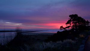 Preview wallpaper sunset, trees, silhouettes, dusk, nature