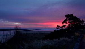 Preview wallpaper sunset, trees, silhouettes, dusk, nature