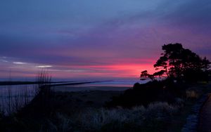 Preview wallpaper sunset, trees, silhouettes, dusk, nature