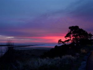 Preview wallpaper sunset, trees, silhouettes, dusk, nature