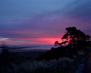 Preview wallpaper sunset, trees, silhouettes, dusk, nature