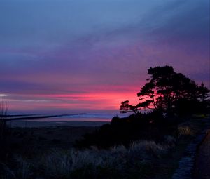 Preview wallpaper sunset, trees, silhouettes, dusk, nature