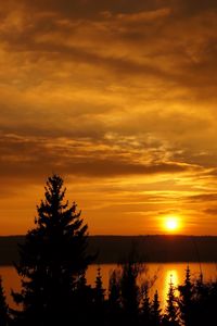 Preview wallpaper sunset, trees, sky, river