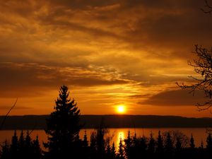 Preview wallpaper sunset, trees, sky, river