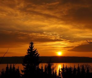 Preview wallpaper sunset, trees, sky, river