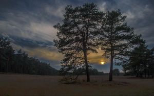 Preview wallpaper sunset, trees, sky, night