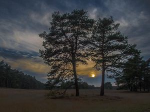 Preview wallpaper sunset, trees, sky, night