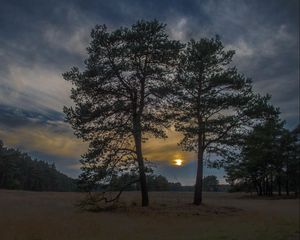 Preview wallpaper sunset, trees, sky, night