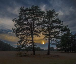 Preview wallpaper sunset, trees, sky, night