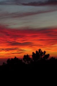 Preview wallpaper sunset, trees, sky, clouds