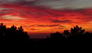 Preview wallpaper sunset, trees, sky, clouds