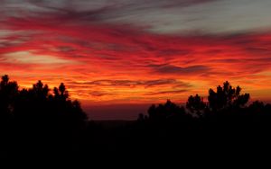 Preview wallpaper sunset, trees, sky, clouds