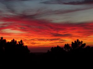 Preview wallpaper sunset, trees, sky, clouds