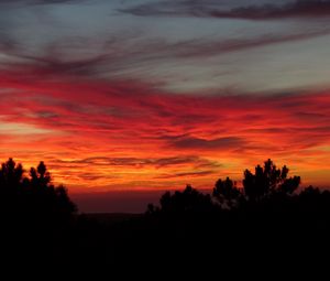 Preview wallpaper sunset, trees, sky, clouds