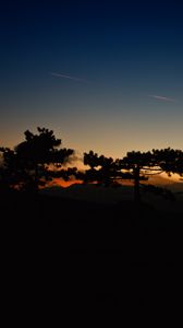 Preview wallpaper sunset, trees, sky, horizon, dark, clouds