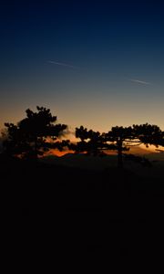 Preview wallpaper sunset, trees, sky, horizon, dark, clouds