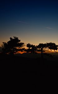 Preview wallpaper sunset, trees, sky, horizon, dark, clouds