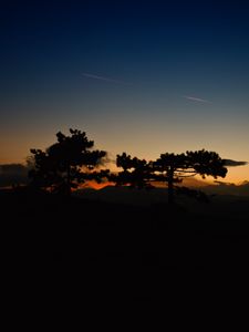 Preview wallpaper sunset, trees, sky, horizon, dark, clouds