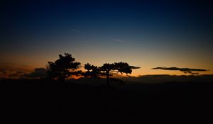 Preview wallpaper sunset, trees, sky, horizon, dark, clouds