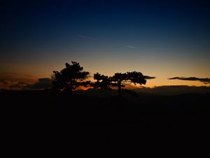 Preview wallpaper sunset, trees, sky, horizon, dark, clouds