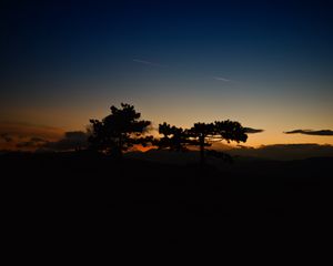 Preview wallpaper sunset, trees, sky, horizon, dark, clouds