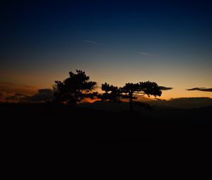 Preview wallpaper sunset, trees, sky, horizon, dark, clouds