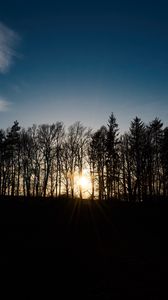 Preview wallpaper sunset, trees, sky, sunlight, light