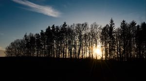 Preview wallpaper sunset, trees, sky, sunlight, light