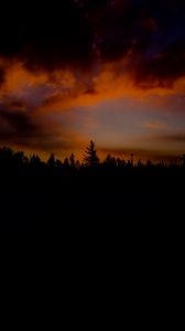 Preview wallpaper sunset, trees, sky, clouds