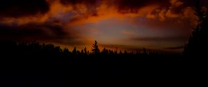 Preview wallpaper sunset, trees, sky, clouds