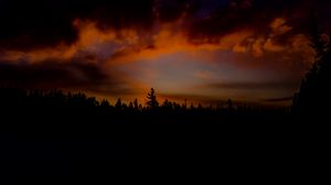 Preview wallpaper sunset, trees, sky, clouds