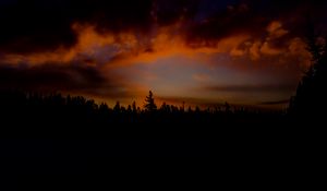 Preview wallpaper sunset, trees, sky, clouds