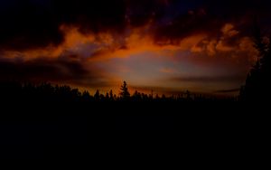 Preview wallpaper sunset, trees, sky, clouds