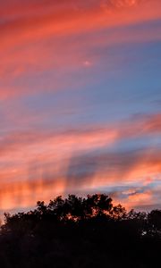 Preview wallpaper sunset, trees, sky, landscape, nature