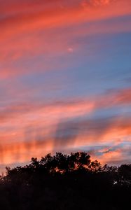 Preview wallpaper sunset, trees, sky, landscape, nature