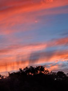 Preview wallpaper sunset, trees, sky, landscape, nature