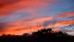 Preview wallpaper sunset, trees, sky, landscape, nature