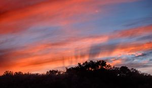 Preview wallpaper sunset, trees, sky, landscape, nature