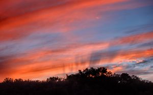 Preview wallpaper sunset, trees, sky, landscape, nature