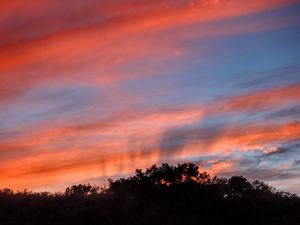 Preview wallpaper sunset, trees, sky, landscape, nature