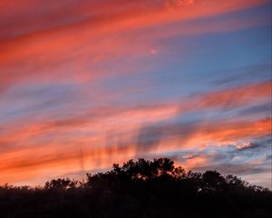 Preview wallpaper sunset, trees, sky, landscape, nature